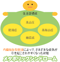 メタボリックシンドローム